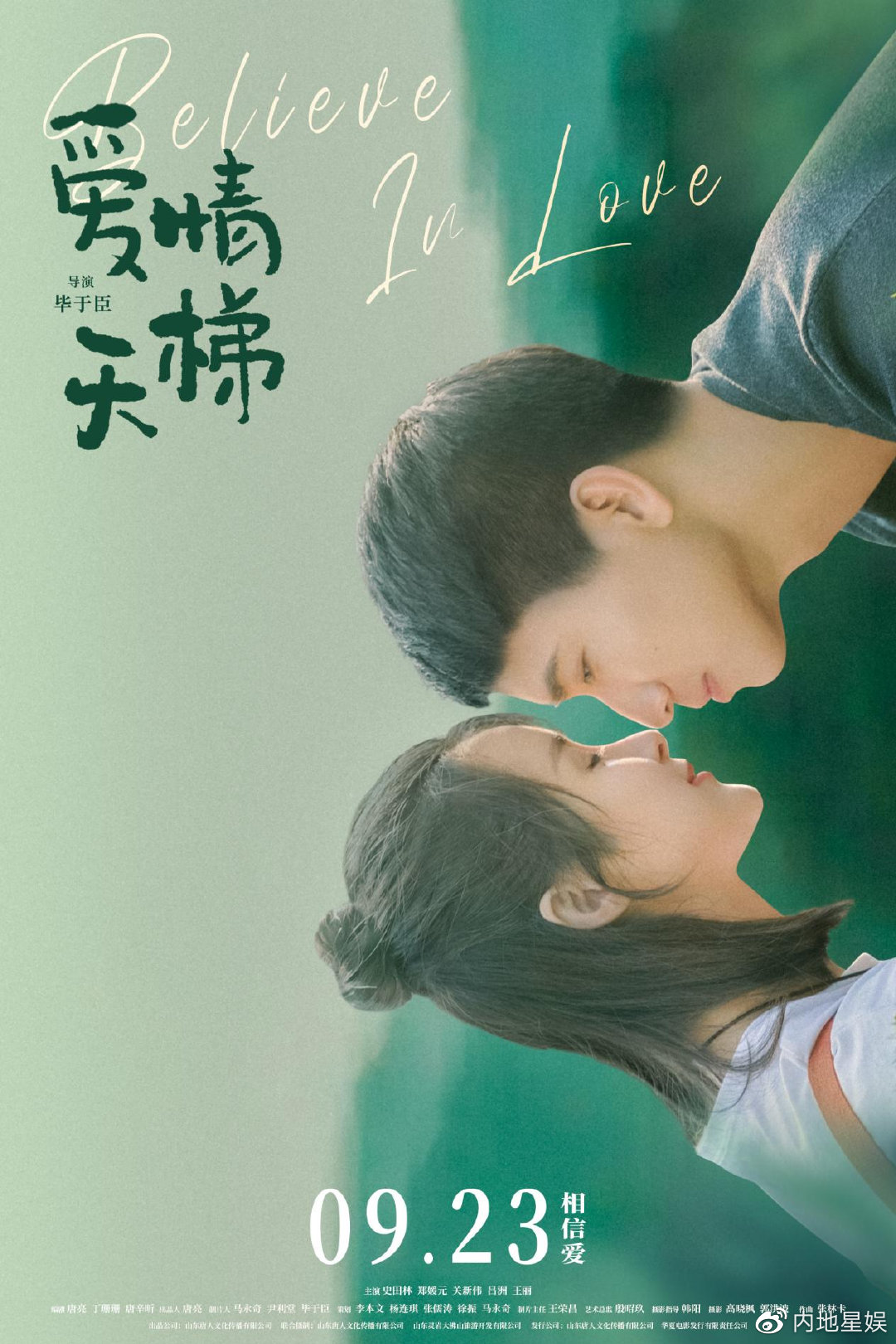 限定视角口碑新片